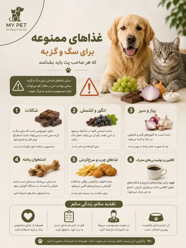 این تصویر یک اینفوگرافیک آموزشی درباره غذاهای ممنوعه برای سگ و گربه است. در سمت راست، یک سگ گلدن رتریور و یک گربه خاکستری در کنار خوراکی‌های خطرناک مانند شکلات، انگور، پیاز و سیر قرار دارند و یک علامت هشدار نیز دیده می‌شود. در سمت چپ، مهم‌ترین غذاهای مضر شامل شکلات، انگور و کشمش، پیاز و سیر، استخوان پخته، غذاهای چرب و سرخ‌کردنی و نوشیدنی‌های حاوی کافئین همراه با تصاویر و توضیحات کوتاه معرفی شده‌اند. لوگوی MY PET در گوشه بالا سمت چپ قرار دارد و طراحی با رنگ‌های کرم و زیتونی، بر اهمیت تغذیه ایمن و پیشگیری از مسمومیت در حیوانات خانگی تأکید می‌کند.